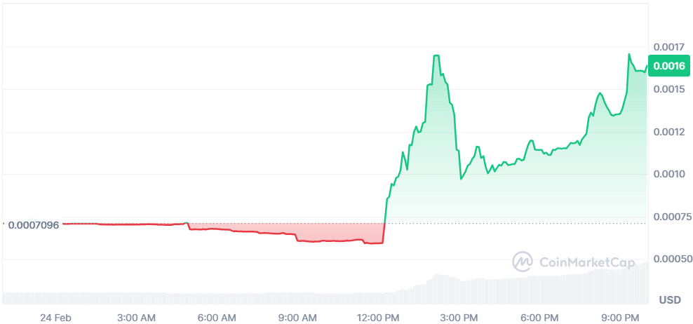 DCOIN 24.02.png