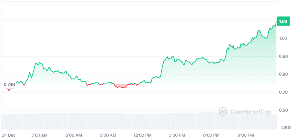 FARTCOIN 24.12.png