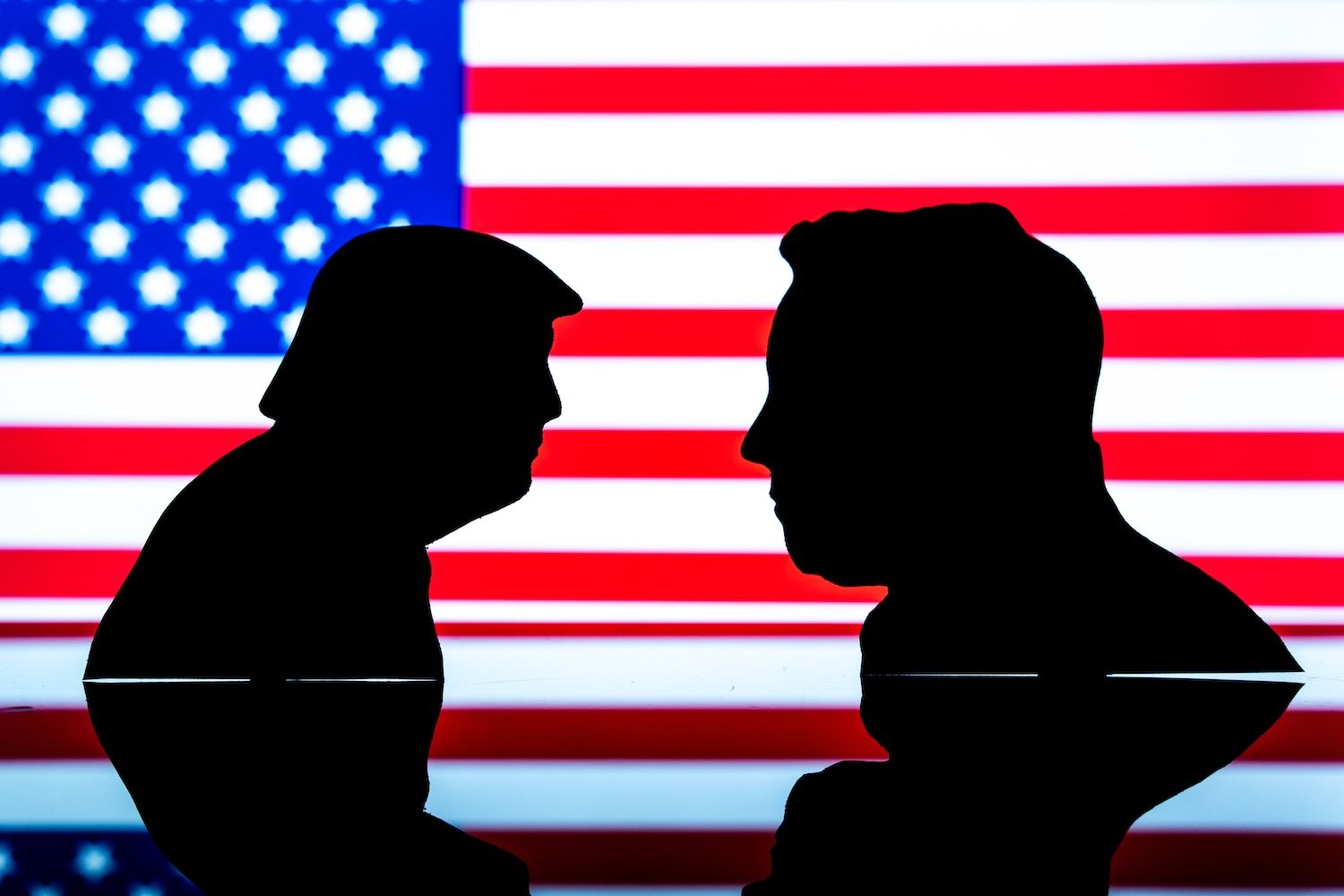 Trump vs Musk feud is shattering crypto markets, Rokas Tenys/Shutterstock